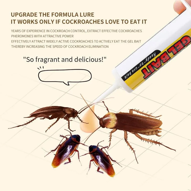 Cockroaches feeding on the Roach Doctor gel bait formula