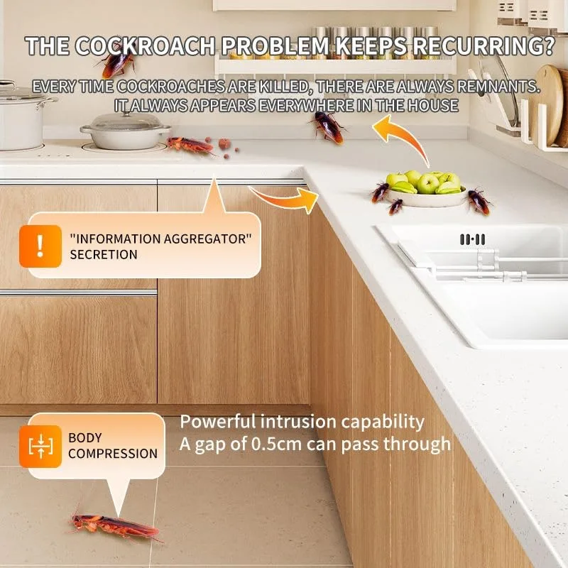 Cockroaches in a kitchen environment