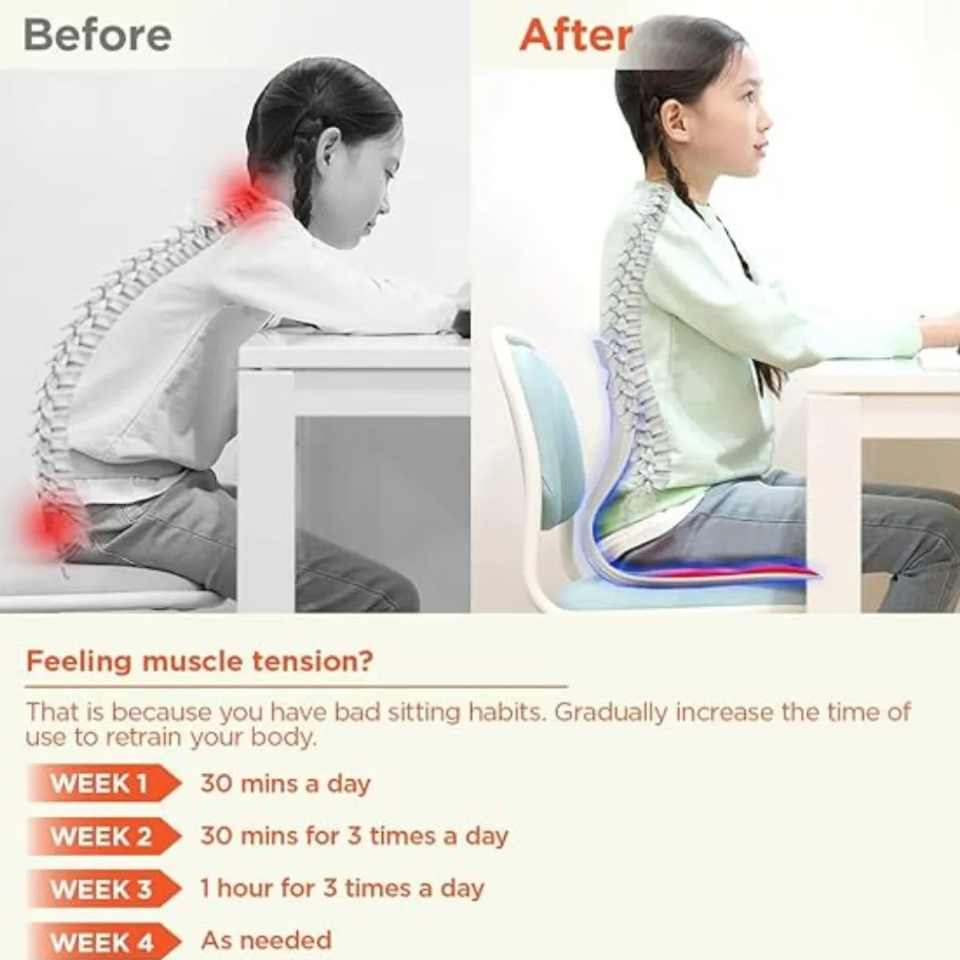 Comfort Posture Correction Chair Seat | Ergonomic Back Support 5