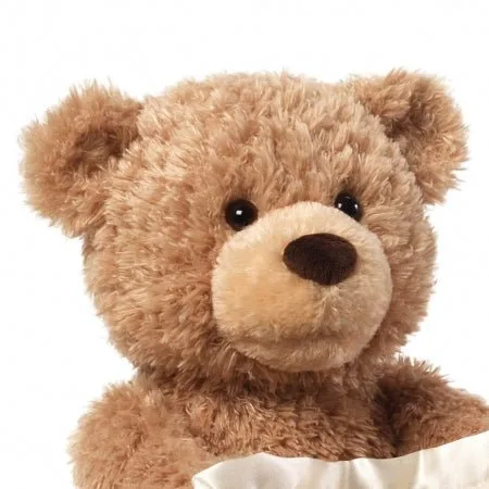 Peekaboo Teddy Bear 4